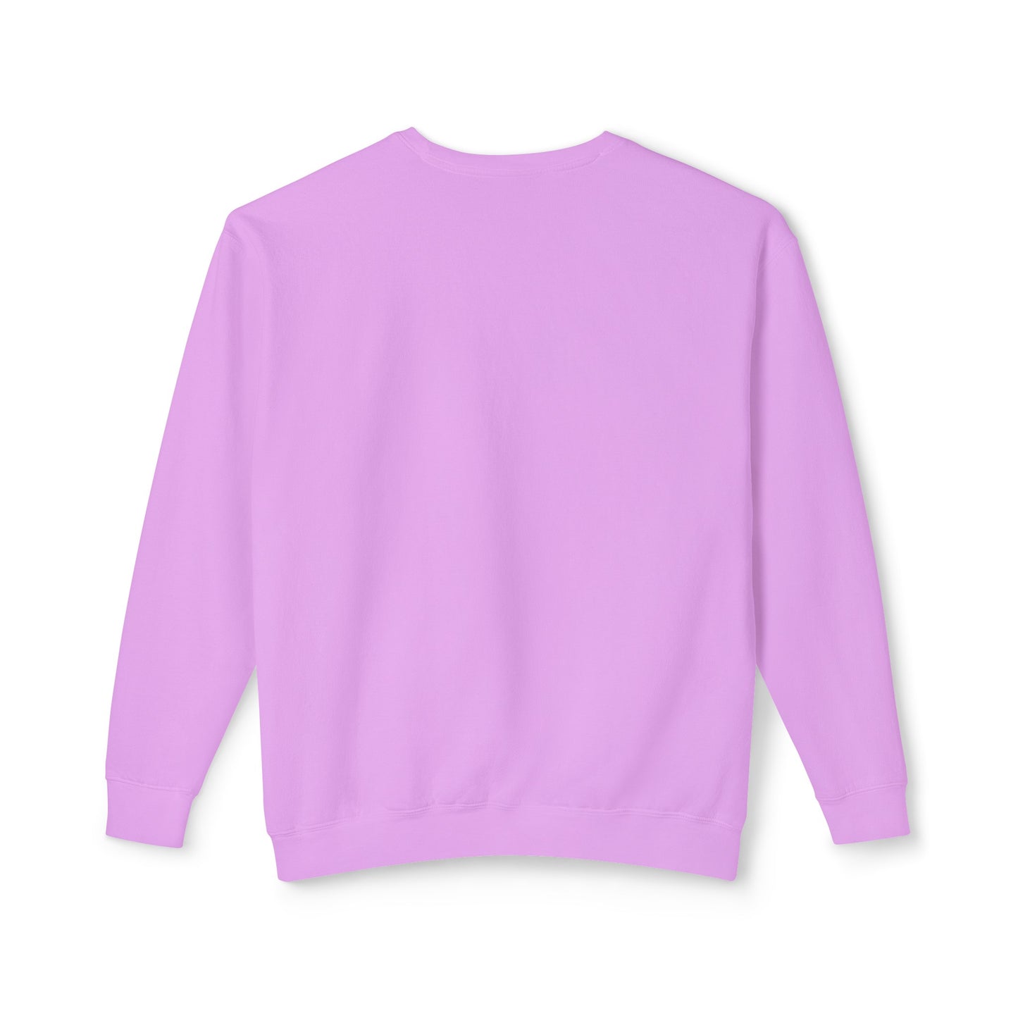 ANT -  Lightweight Sweatshirt