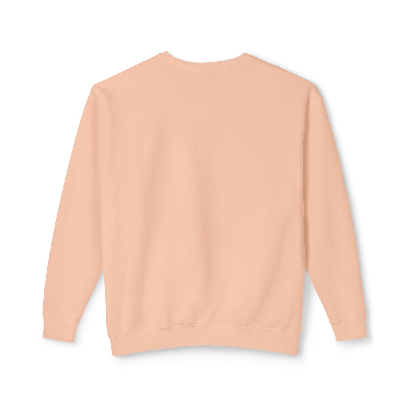 ANT -  Lightweight Sweatshirt
